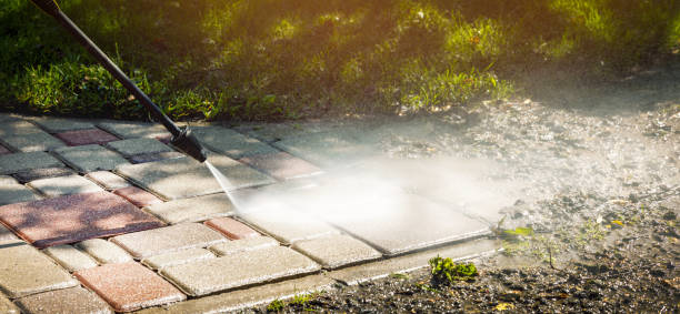 Best Animal Enclosure Cleaning  in Clinton, PA